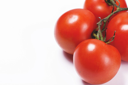 Close-up of tomatoes on white background. Copy-space.の写真素材