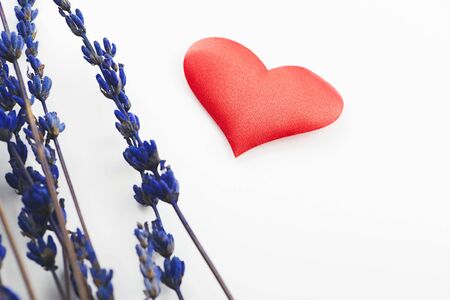 Red heart and lavender flower on white background. Isolated.の写真素材
