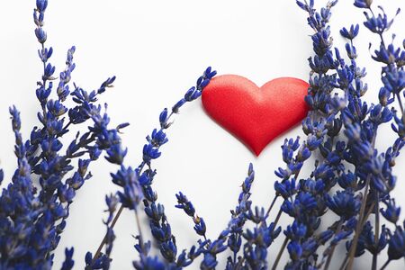 Red heart next to lavender flower on white background.の写真素材