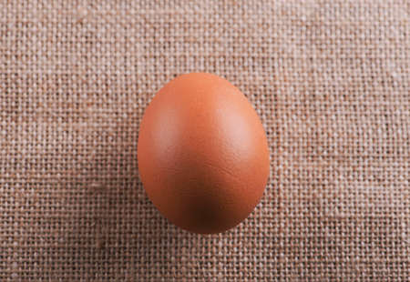 Egg placed on canvas.の写真素材