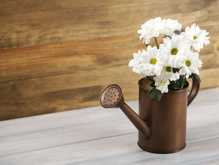 Flowers in a watering can on wooden table. Daisy flower. Horizontal shoot.の写真素材