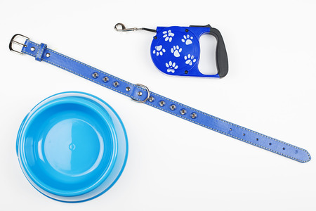 From above shot of blue leather leash and bowl of puppy chow.の写真素材