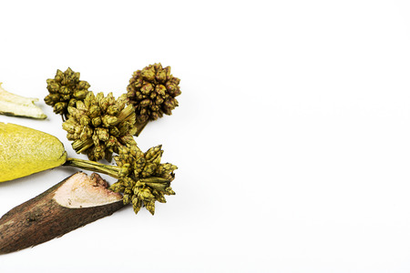 Close-up of dry mix for aromatic effect spilled on white background. Copy space