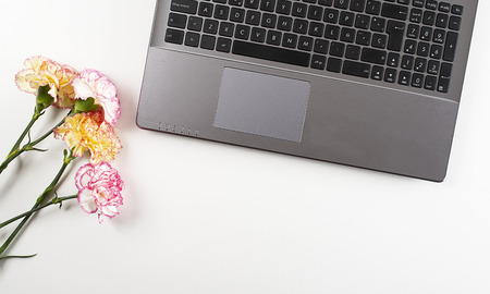 Background of white and pink flowers and yellow flowers next to laptop on white background. Copy space. Mockup.の写真素材
