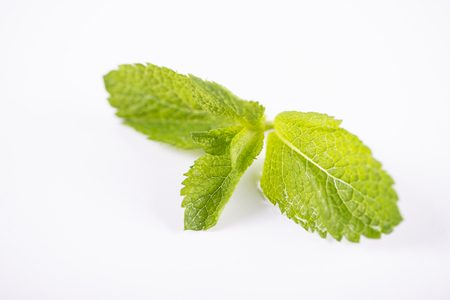 Close-up of mint on white background. Isolated.の写真素材