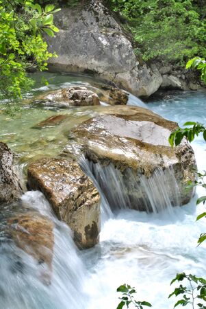 river of grass surrounded by trees and forests in the valleys of Trentino south tyrol