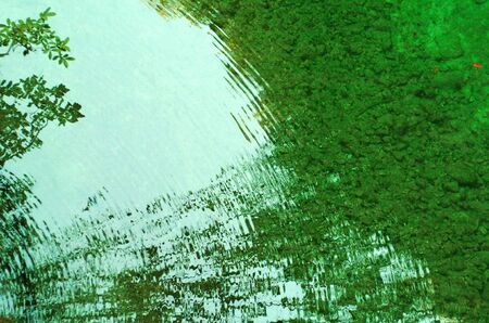 texture water with small wavesの写真素材