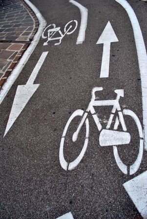 road for bicycles surrounded by nature