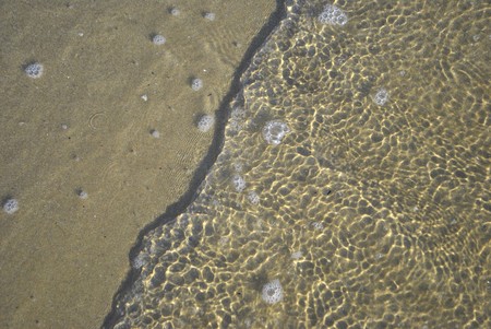 small tidal wave slamming on a sandy beachの写真素材