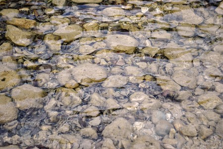 Abstract background texture of some smooth stones in a river 