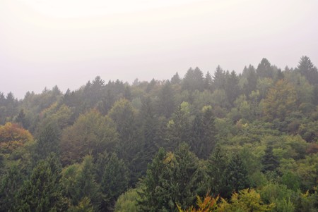 mountain and forest in fogの写真素材