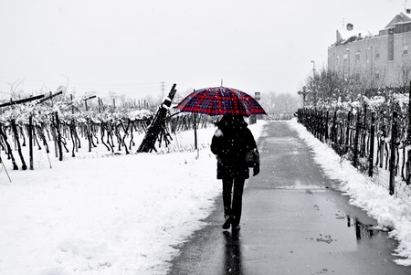 snowy street and girl with umbrellaの写真素材