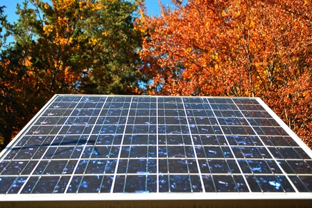 solar panel in the woods of larch