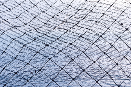 steel wire mesh texture in the background blue skyの写真素材