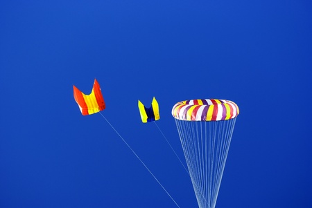 colorful kites flying in the blue skyの写真素材