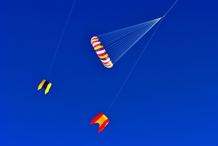 colorful kites flying in the blue skyの写真素材