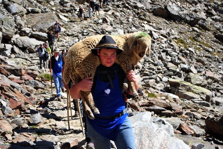VAL SENALES, ITALY - SEPTEMBER 12: Migration of the sheep September 12, 2010 in Val Senales, Trentino Alto Adige, Italy. Traditional sheep homecomming procession of about 3,500 sheepのeditorial素材