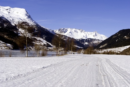winter landscape with snow and blue sky