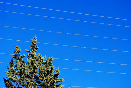 high-voltage electricity transportation with blue skyの写真素材