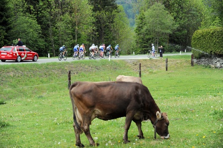 WINKLERN, AUSTRIA - MAY 20: Giro D'Italia from Spilimbergo to Grossglockner May 20, 2011 in Winklern, Austria. Various Cyclists during the 94th "Giro DâItalia, Length of the course: 167 KMのeditorial素材