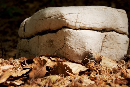Granite rocks at the water, and vegetationの写真素材