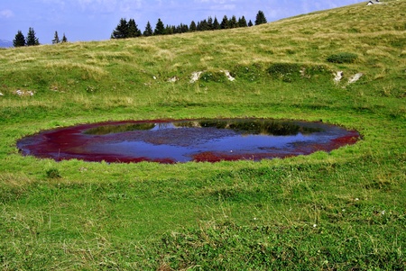 Mountain lake in Trentino Alto Adige