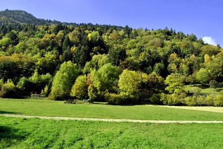  country landscape in Italy. Trentino South Tyrolの写真素材