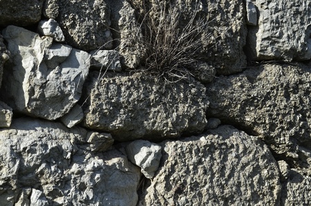 stone wall texture backgroundの写真素材