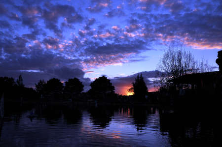 Blue World-  at a pond  in the north of israelの写真素材