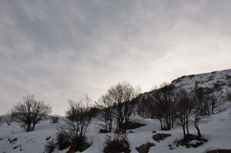 sunrise at israel の写真素材