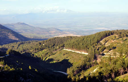 View north from Safedの写真素材