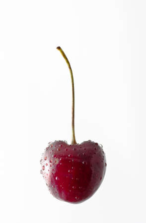 juicy cherries