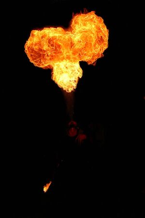 Some summer show with fire in portugal