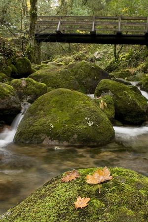 Great Landscape on the mountains in Portugalの写真素材