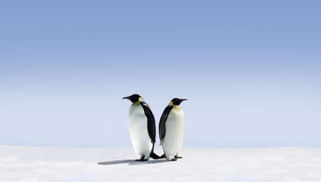 Penguins don't know where to goの写真素材