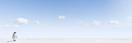 Penguin in a snow landscape, panorama imageの写真素材