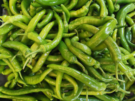 Green pointed peppers as a vegetable