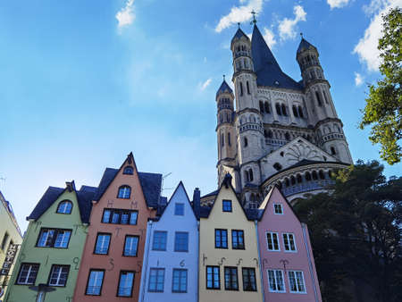 Ripe berries on a bush with green surroundings in summerの写真素材