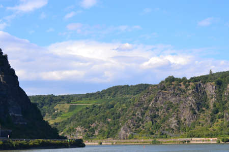 Landscapes on the Rhine in summer are characterized by the beautiful green botanicの写真素材