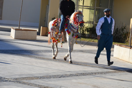 Tourist attraction in Mardin Horses traditionally decorated on 12/25/2021 at 2:14 pmのeditorial素材