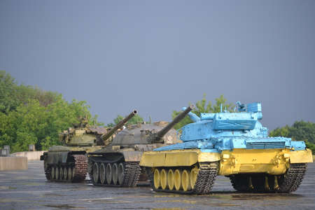 In the middle of the wilderness a big lioness on a wooden trunkの写真素材