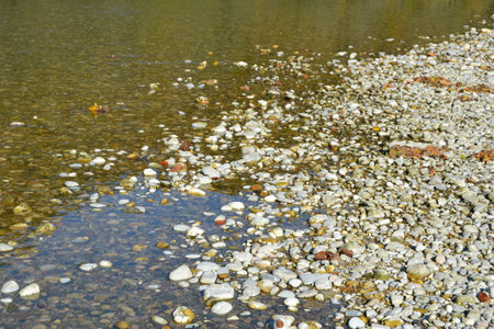 River bank with stones that are partly wet and partly dryの写真素材
