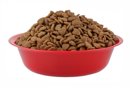 Moist Healthy Dog or cat food in an animal feeding bowl on a white background