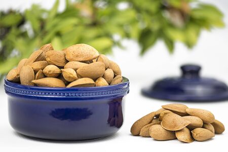 Organic shelled almonds, seletive view of almonds and greenery, using a deep blue dish with some out of focus backgoundの写真素材