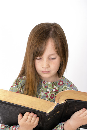 Young child reading the Bible on a white backgroundの写真素材
