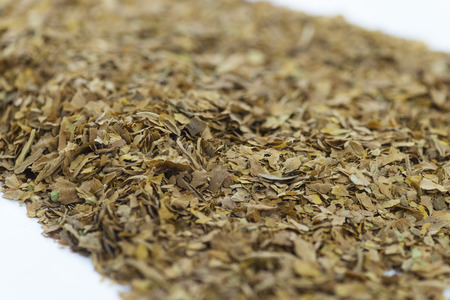 extreme close up in a selective view on dried natural unprocessed tobacco leaves on a white background burred to add copy spaceの写真素材