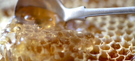 golden organic honey comb fresh from the hive, macro shot selective focus header format blurred background for copy spaceの写真素材