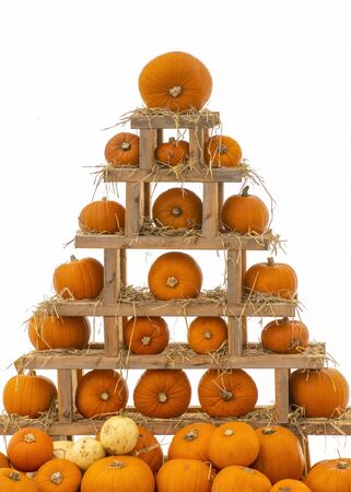 pumpkin tower fair background  a stake of vegetables for a fail festival  shot on a white background to ad copy space and text over lay の写真素材