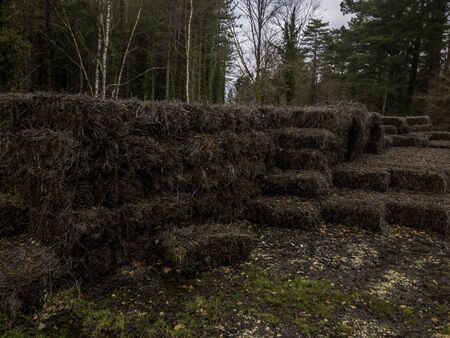 stacked bales of twigs  in a forest harvest for bio-energy  trees and countryside in the background の写真素材