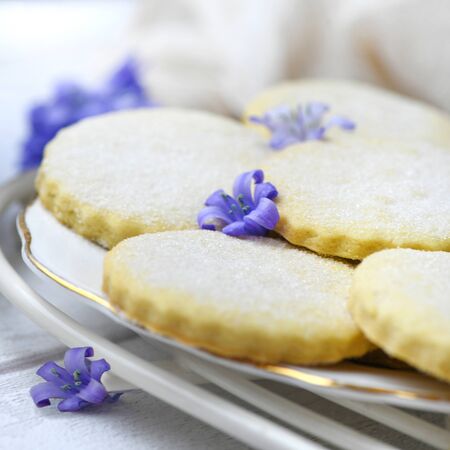 Closeup of delicious round cookies with sugar and small purple flowers placed on ceramic plateの写真素材